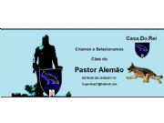 Pastor Alemo - Foto 1